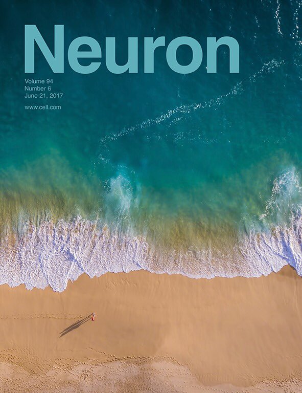 Valero et al. Neuron 2017 (Cover)