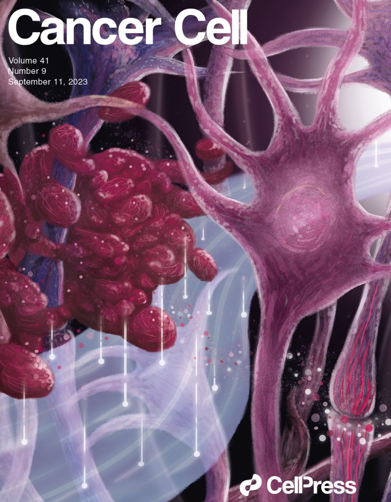 Sanchez-Aguilera et al. Cancer Cell (2023) (Cover)